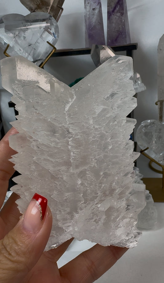 Fishtail Selenite