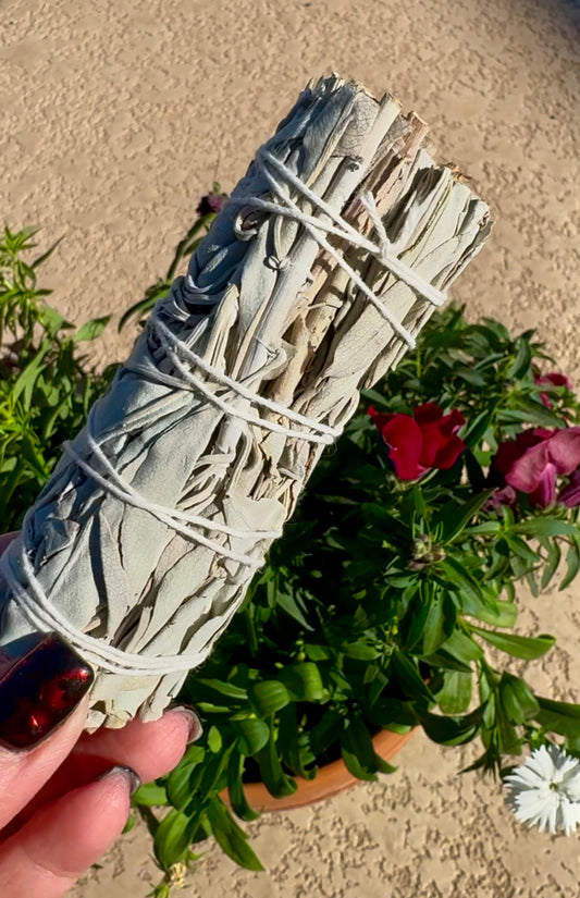 White Sage Bundle