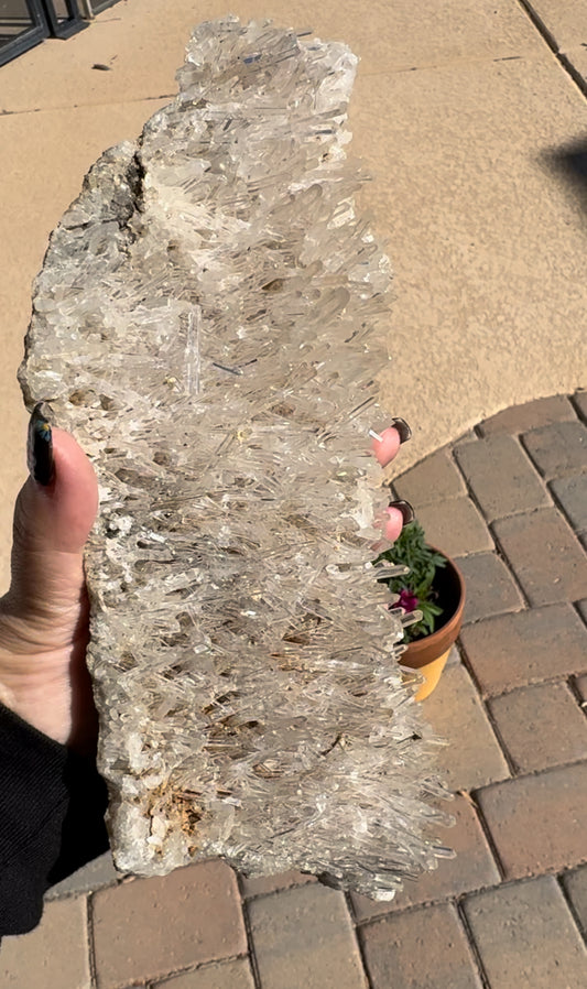 Lemurian Needle Cluster Crystal