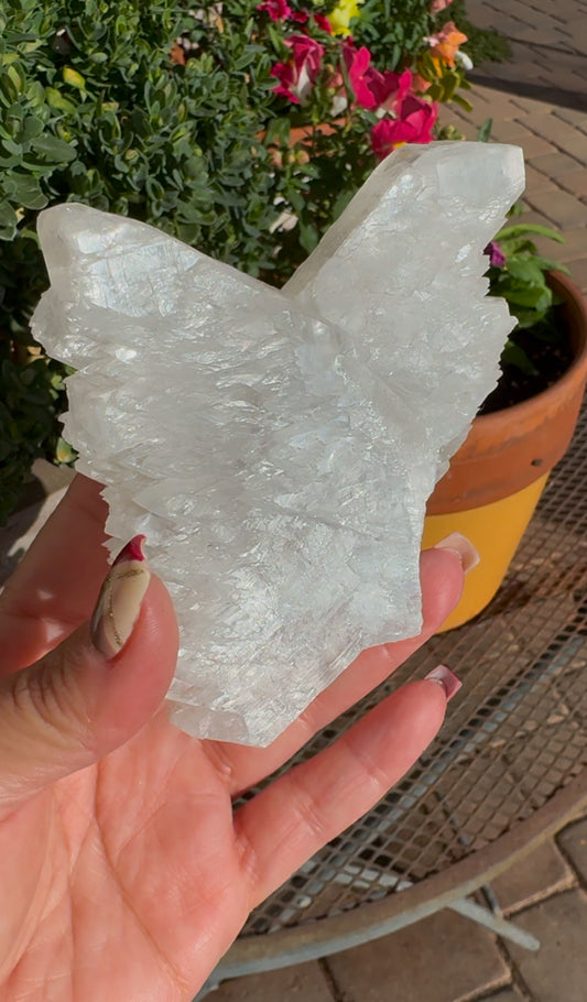 Fish Tail Selenite