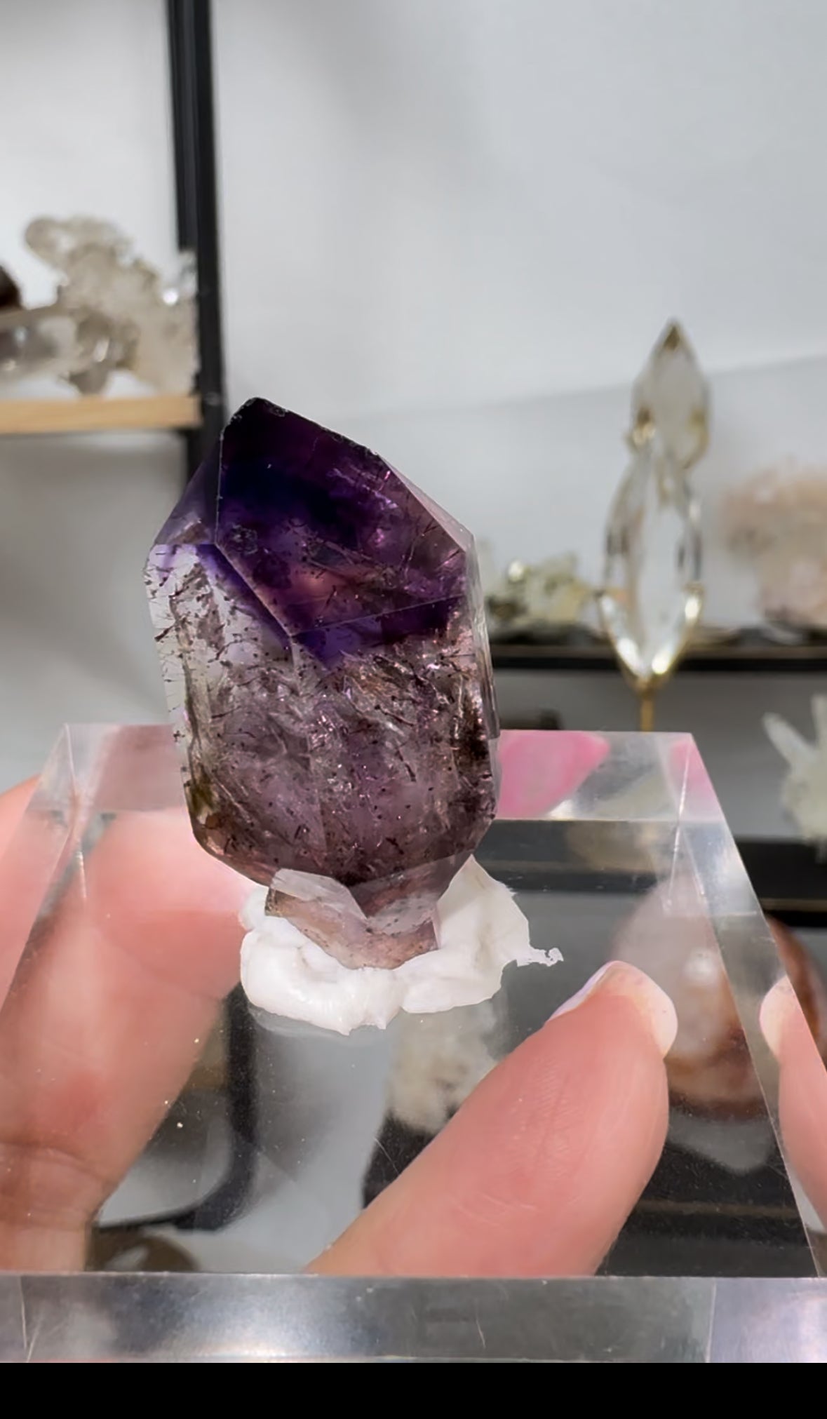 Shangaan Amethyst Scepter Enhydro Crystal