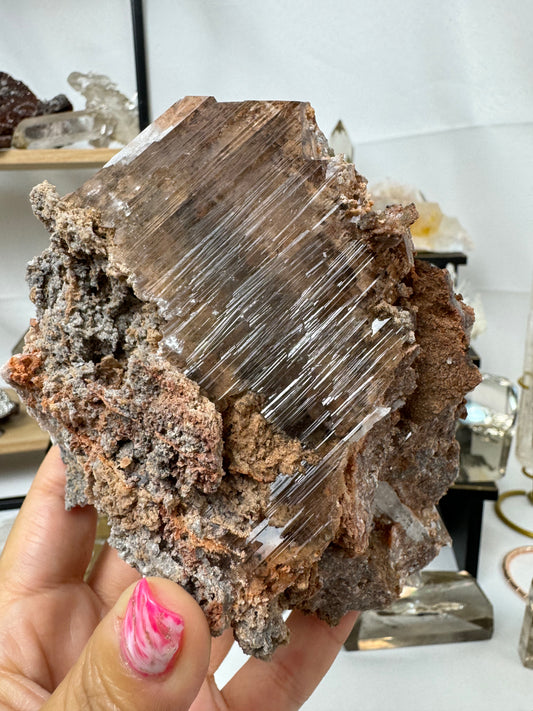 Durango Selenite Specimen Crystal