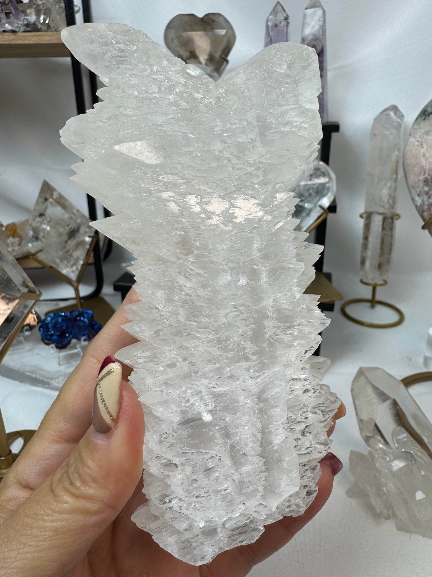 Fish Tail Selenite