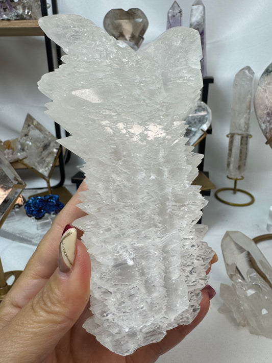 Fish Tail Selenite