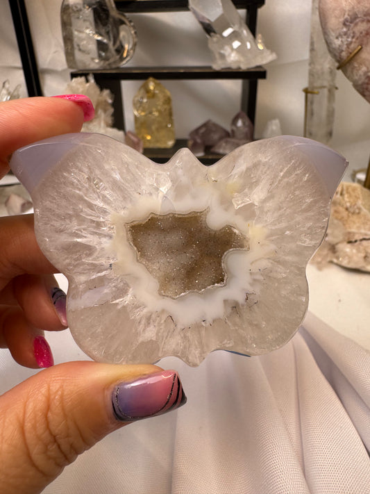 Live - Agate Butterfly