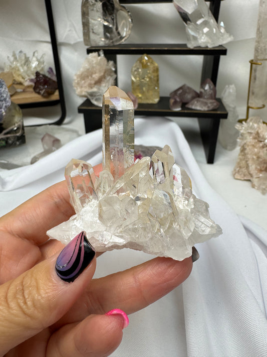 Live - Clear Quartz Cluster